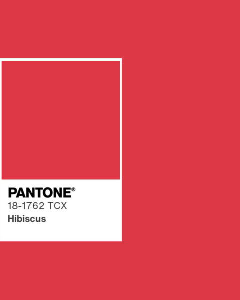 Kolory Pantone 2025: Intensywny, wyrazisty odcień czerwieni, inspirowany kwiatem hibiskusa, nadający energii i pasji każdej stylizacji.