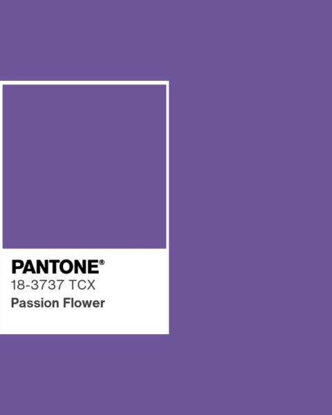 Kolory Pantone 2025: Wyrazisty fiolet, symbolizujący kreatywność i oryginalność, idealny do artystycznych projektów i modnych akcentów.