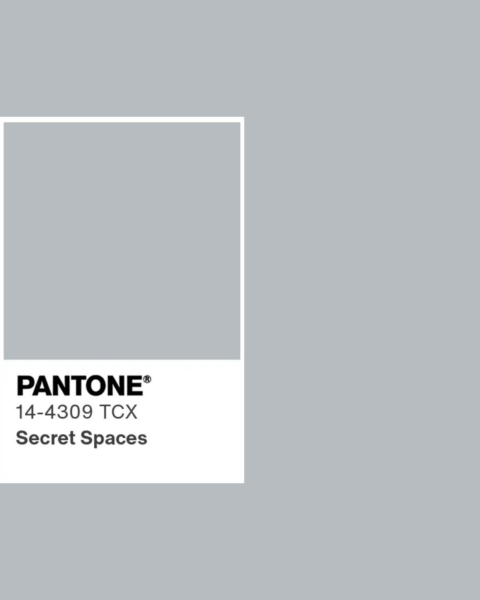 Prostokąt w delikatnym, szarym odcieniu, symbolizującym kolor Pantone „Secret Spaces”.