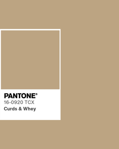 Prostokąt w neutralnym, beżowym odcieniu, przedstawiający kolor Pantone „Curds & Whey”.