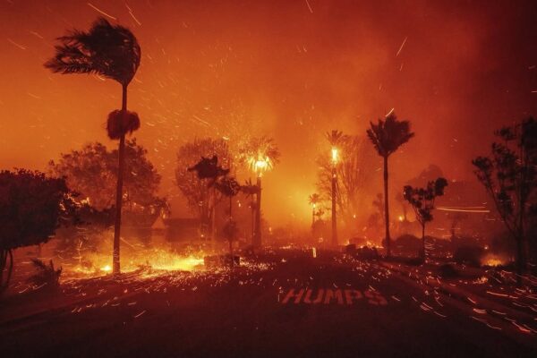 Pożary w Los Angeles. Kadr, na którym ogień pochłania ulice.