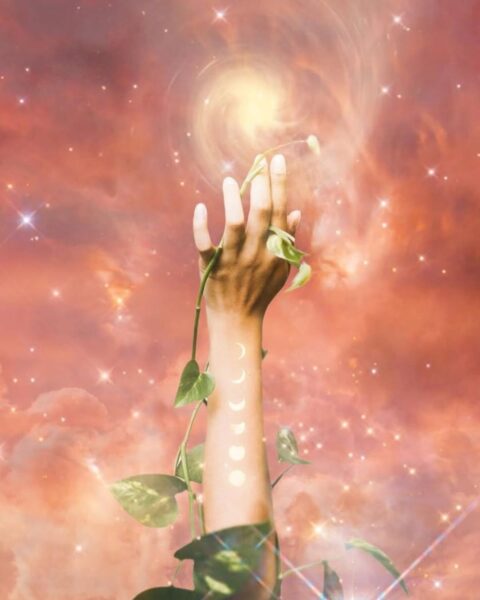 Ilustracja w stylu astrologicznym. Widać na dłoń owiniętą bluszczem. Dłoń pozuje na tle różowego nieba. Dookoła widać gwiazdy.