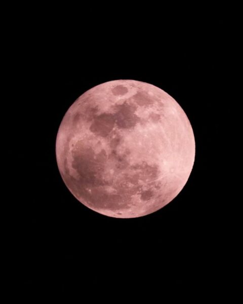Zdjęcie nocnego nieba z wielkim Księżycem w pełni opalizującym na różowo.